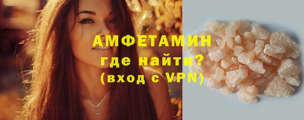 сатива Покачи