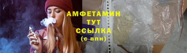 гидра Абаза