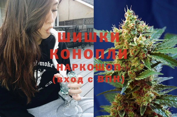 гидра Абаза