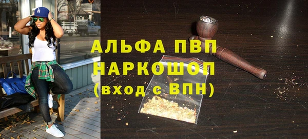 сатива Покачи
