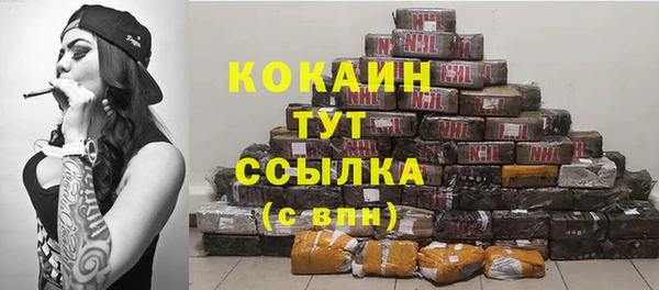 гидра Абаза
